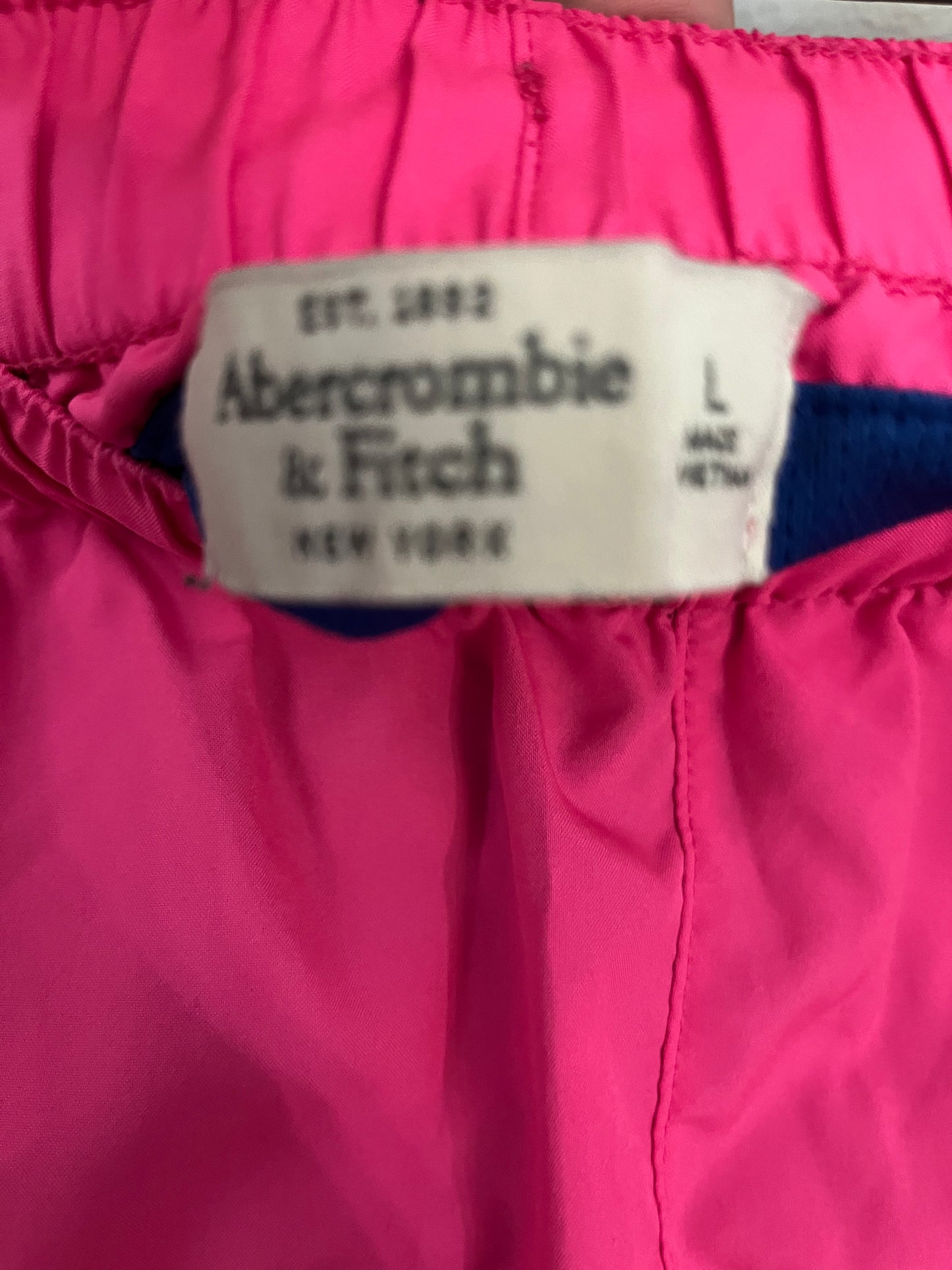 Pink and Blue Large Abercrombie and Fitch Shorts